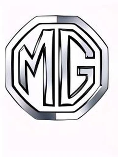 MG Schlüsselabdeckung